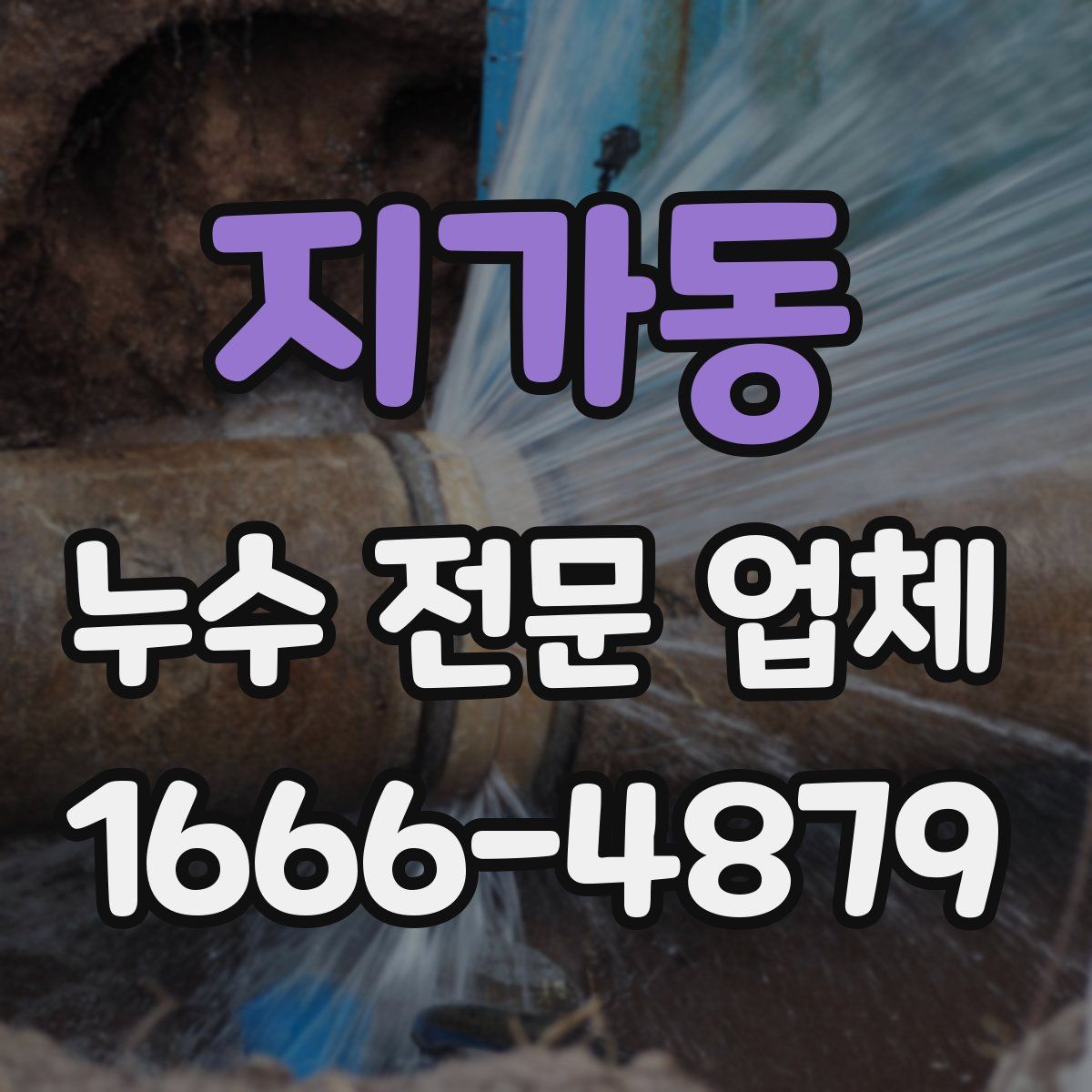 지가동 누수 전문 업체