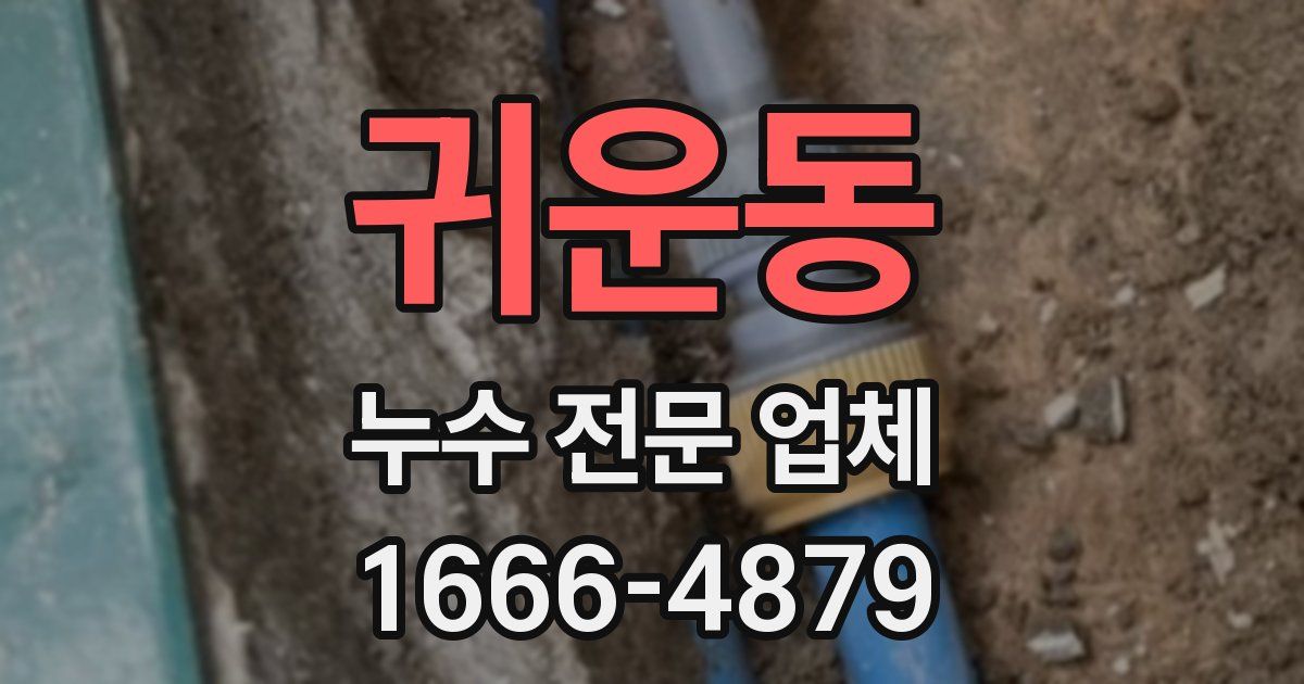 귀운동 누수 전문 업체