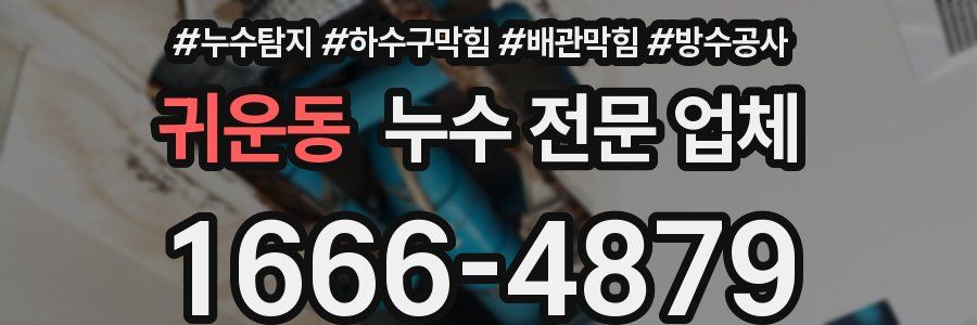 귀운동 누수 전문 업체