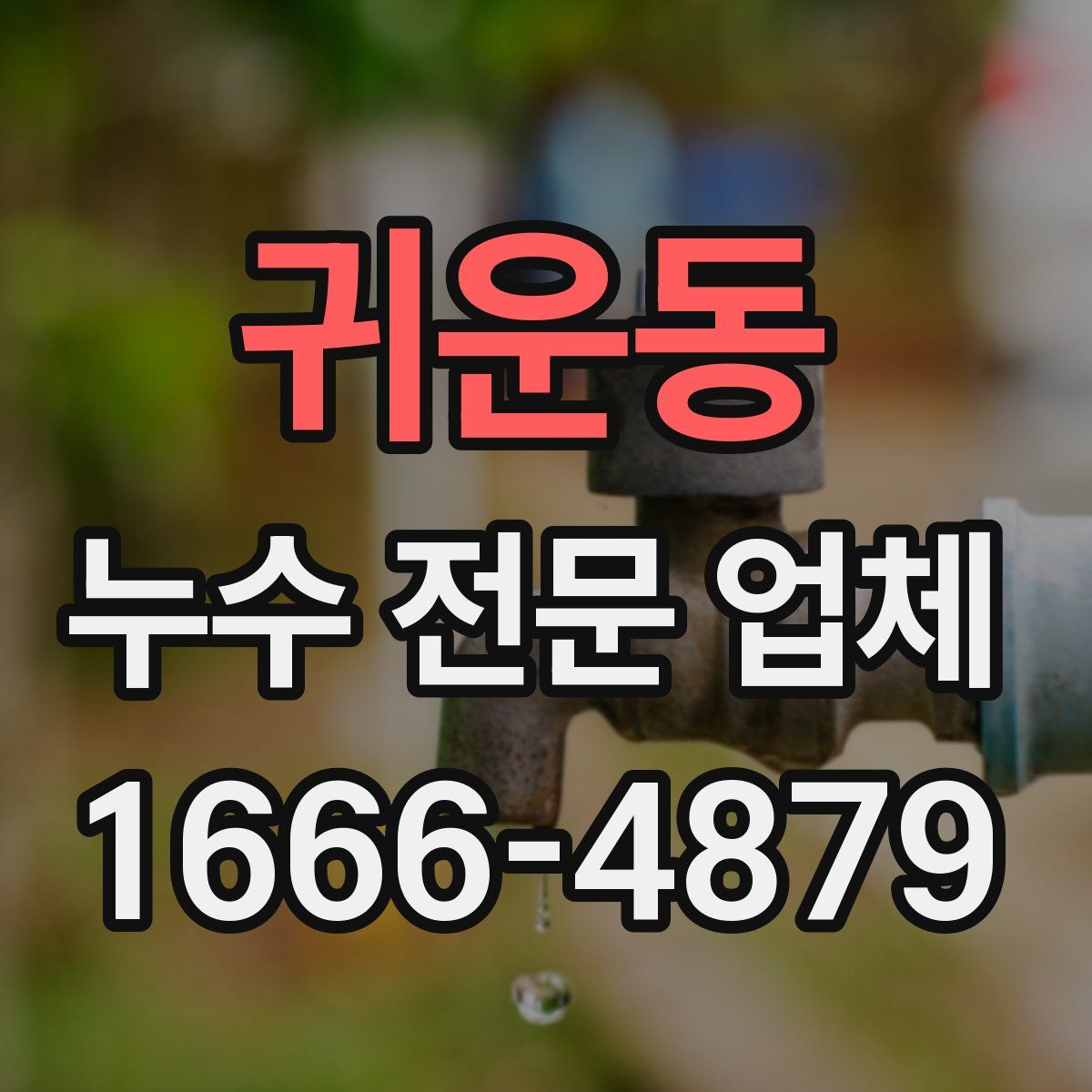 귀운동 누수 전문 업체