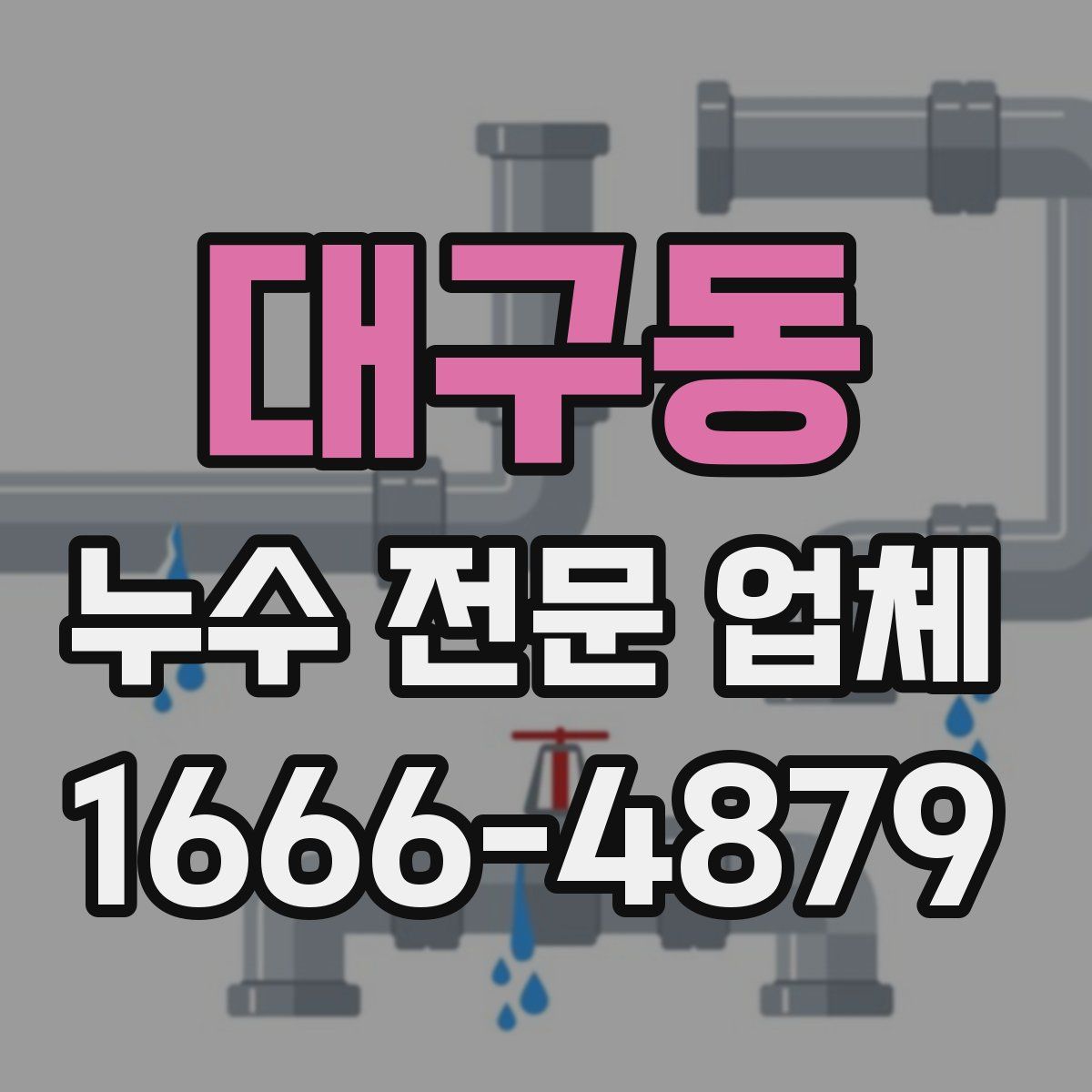 대구동 누수 전문 업체