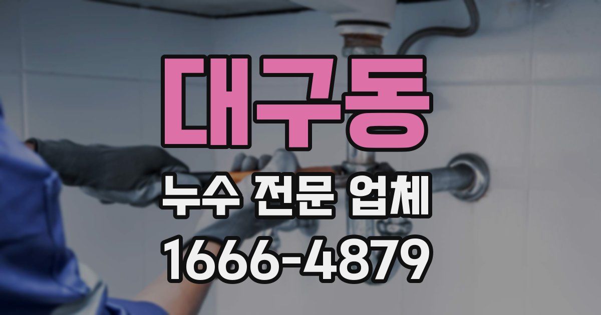 대구동 누수 전문 업체