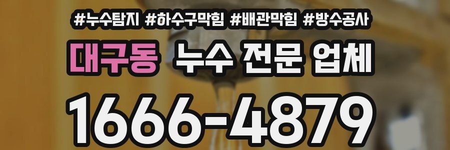 대구동 누수 전문 업체