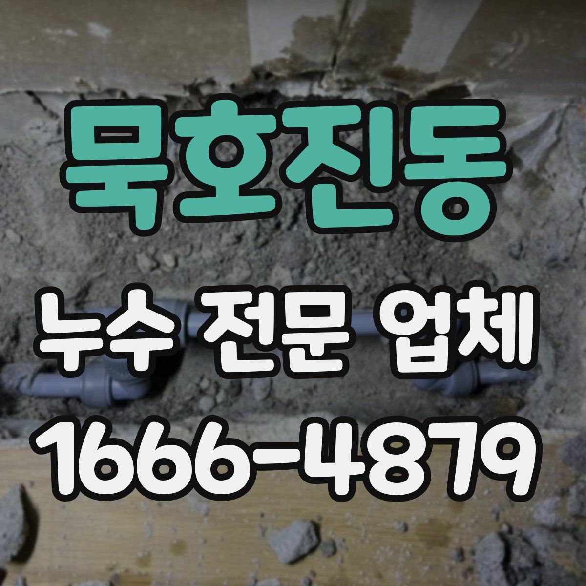 묵호진동 누수 전문 업체