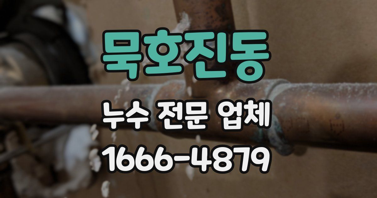 묵호진동 누수 전문 업체