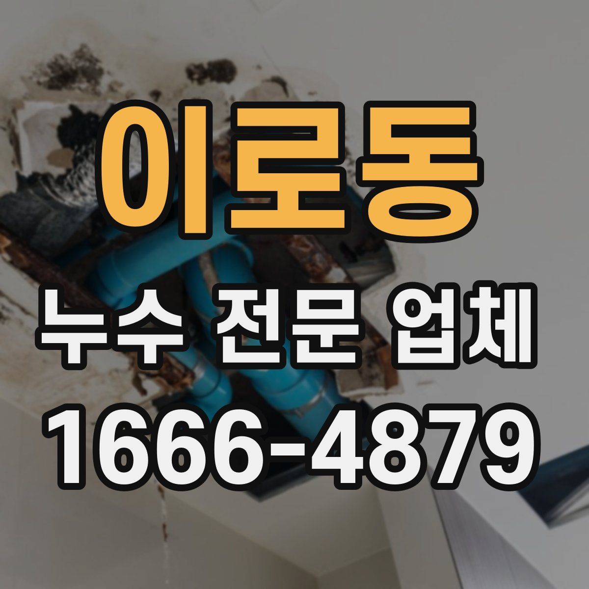 이로동 누수 전문 업체