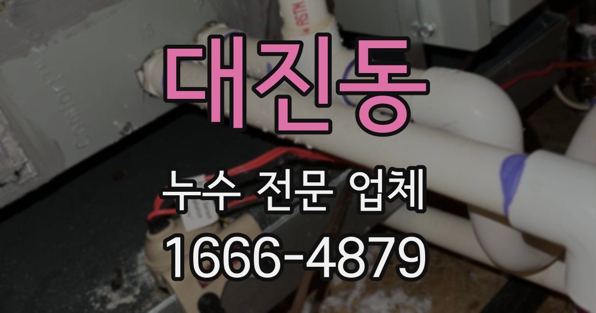 대진동 누수 전문 업체