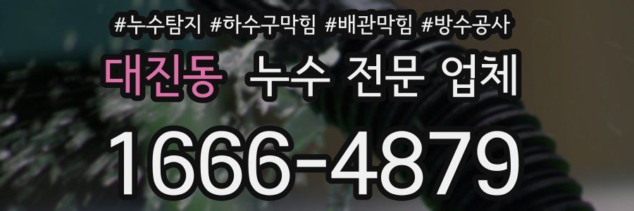 대진동 누수 전문 업체