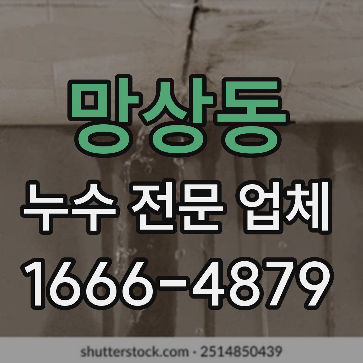 망상동 누수 전문 업체