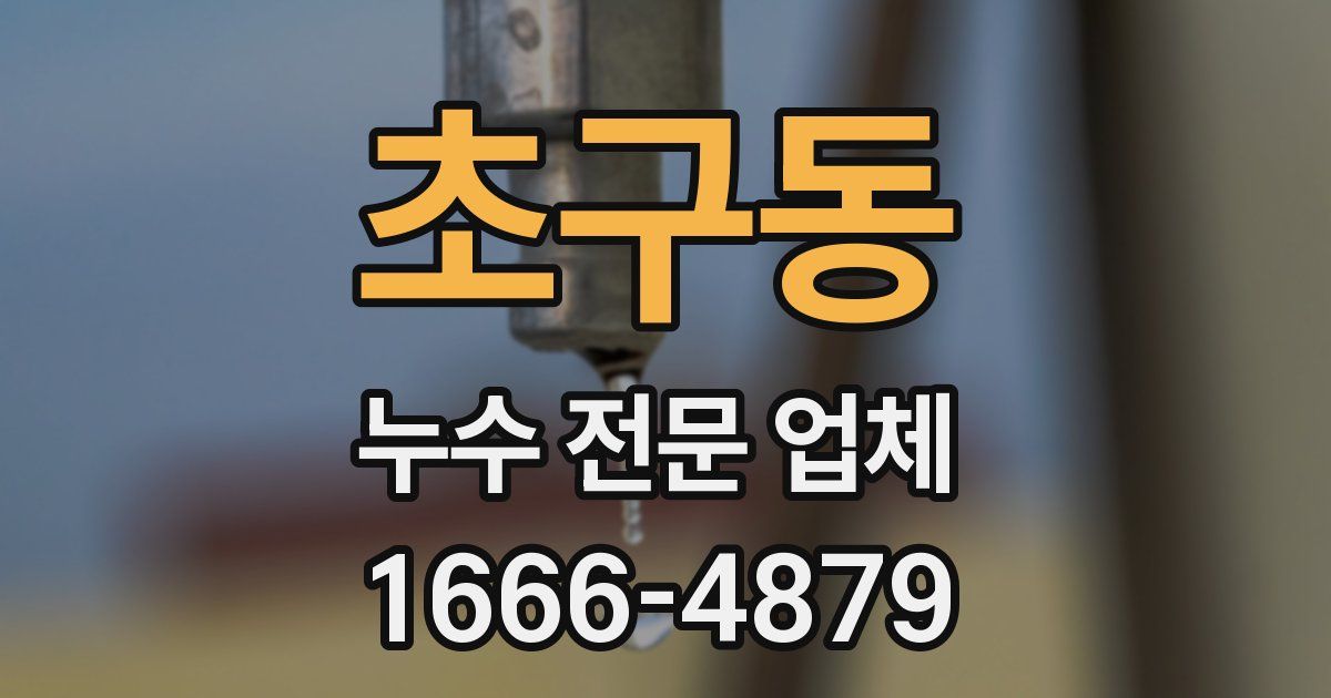 초구동 누수 전문 업체