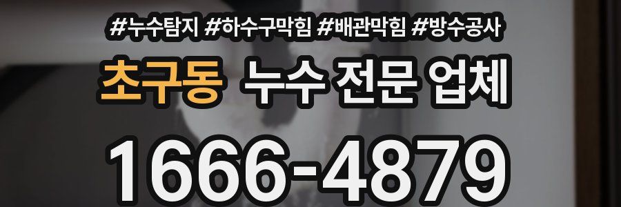 초구동 누수 전문 업체