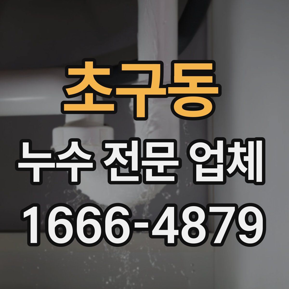 초구동 누수 전문 업체