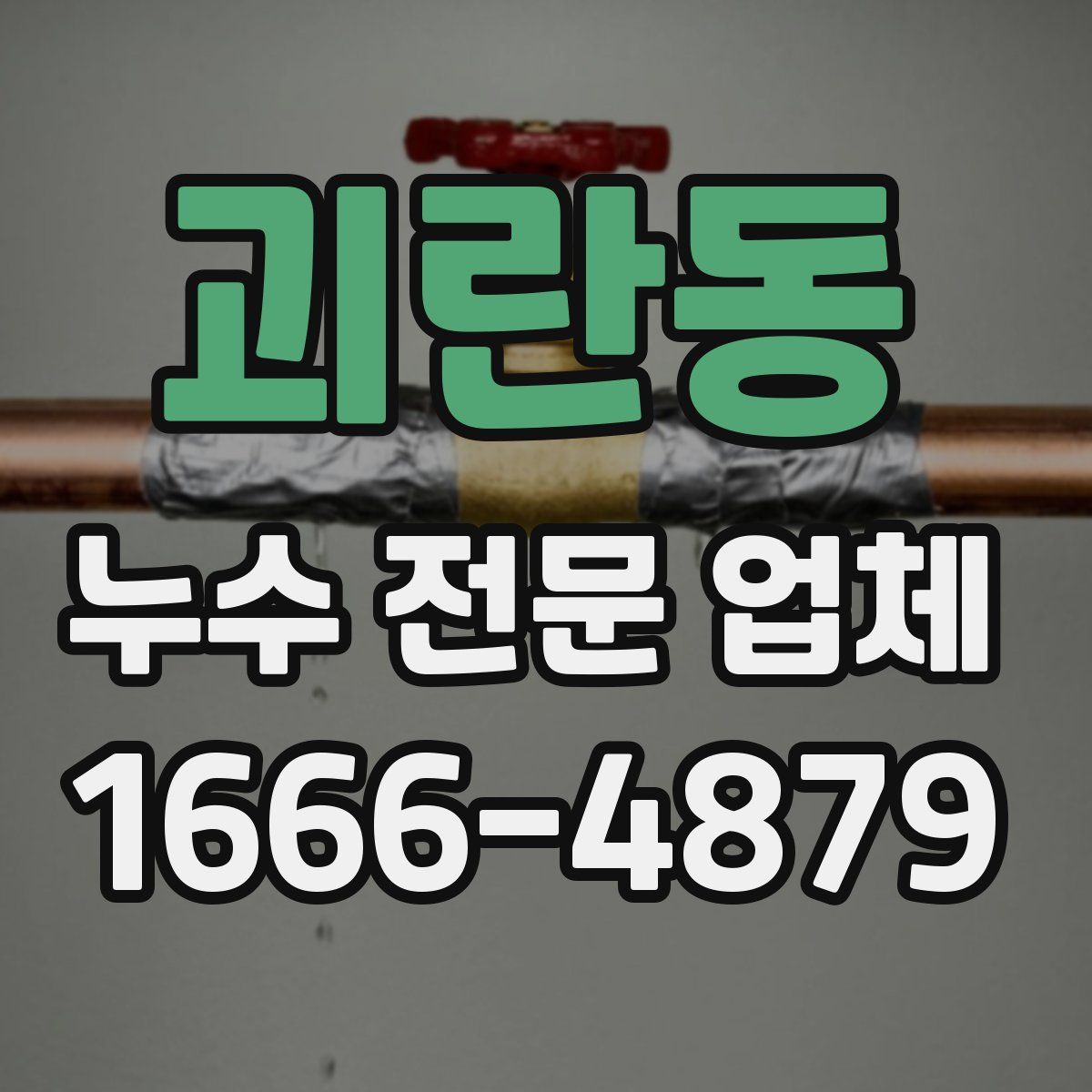 괴란동 누수 전문 업체