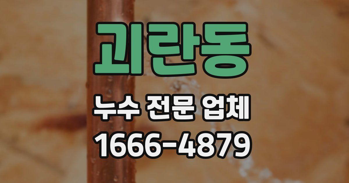 괴란동 누수 전문 업체