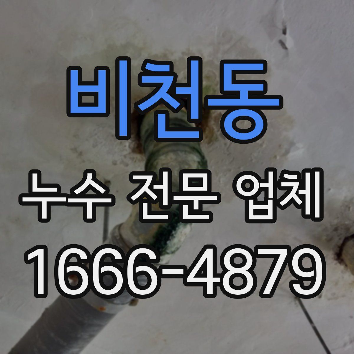 비천동 누수 전문 업체