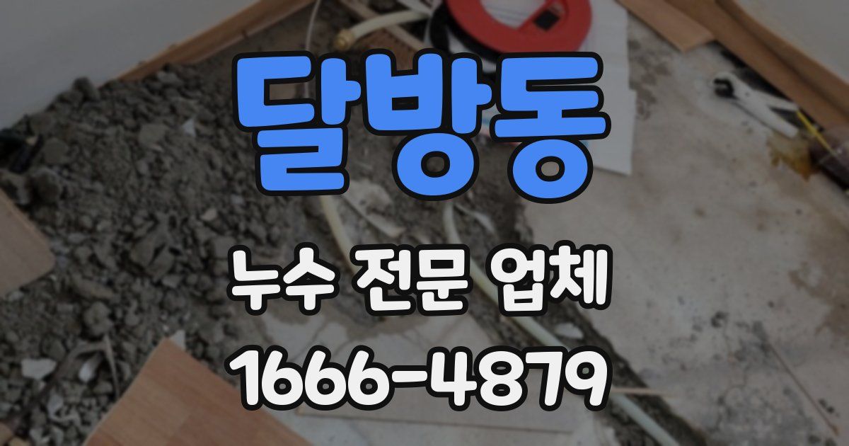 달방동 누수 전문 업체