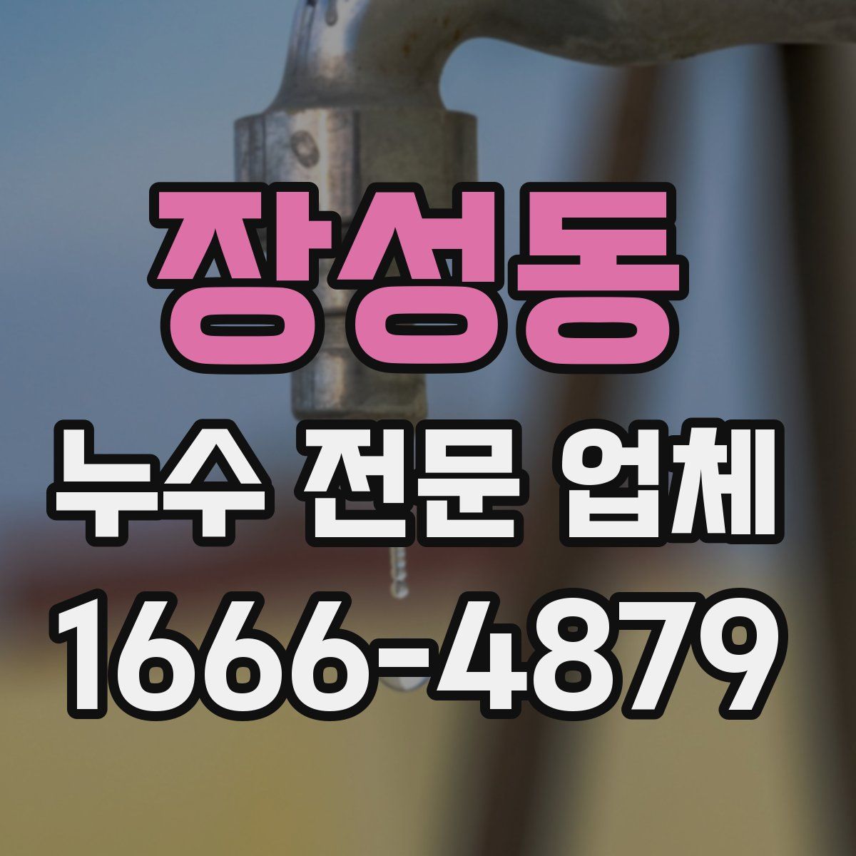 장성동 누수 전문 업체