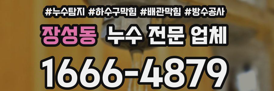 장성동 누수 전문 업체