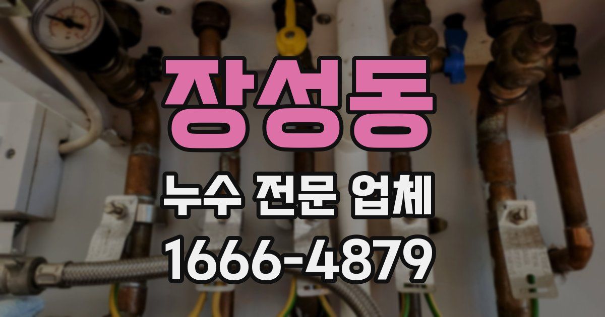 장성동 누수 전문 업체