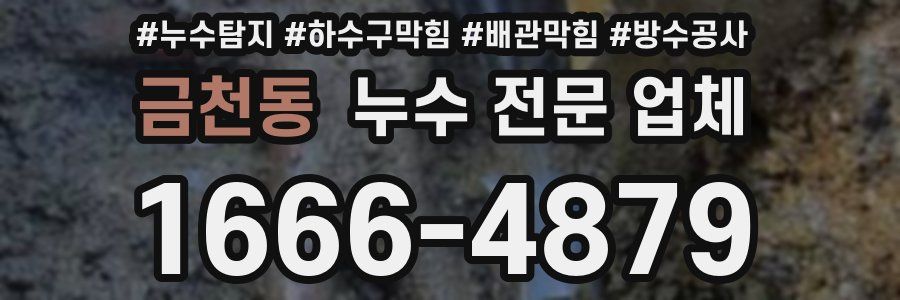 금천동 누수 전문 업체