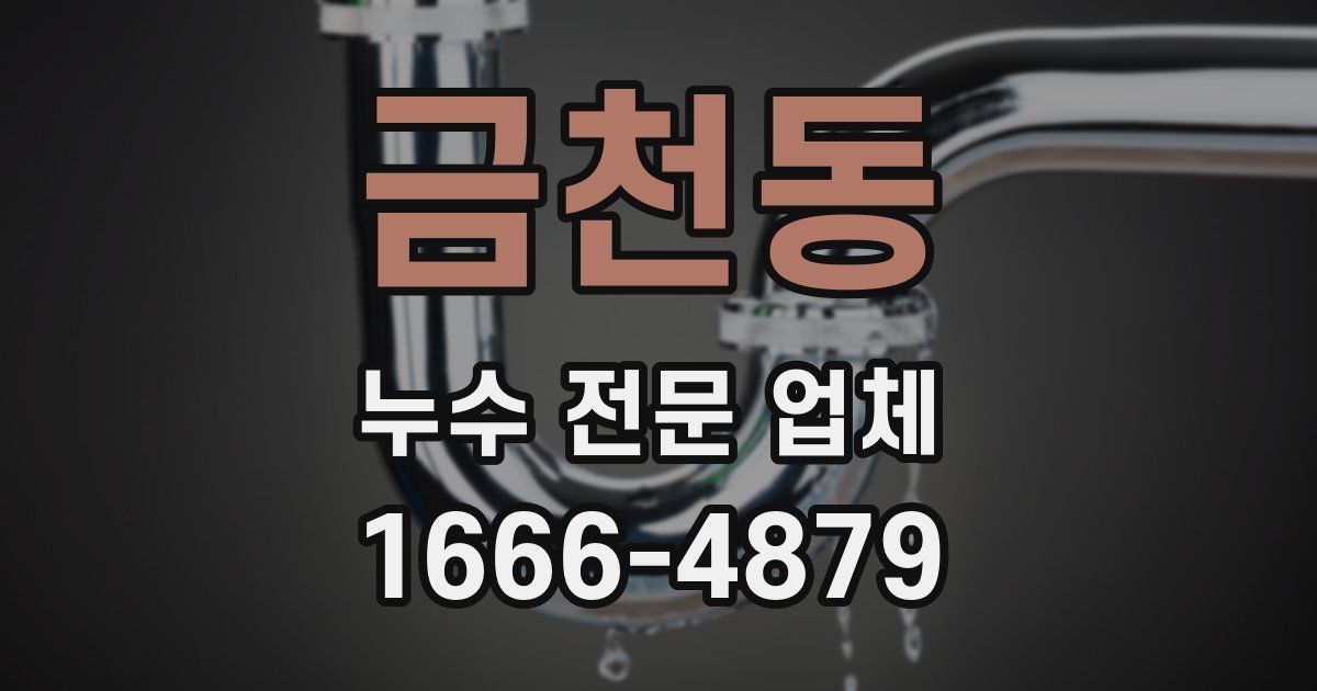 금천동 누수 전문 업체