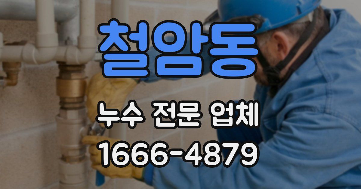 철암동 누수 전문 업체