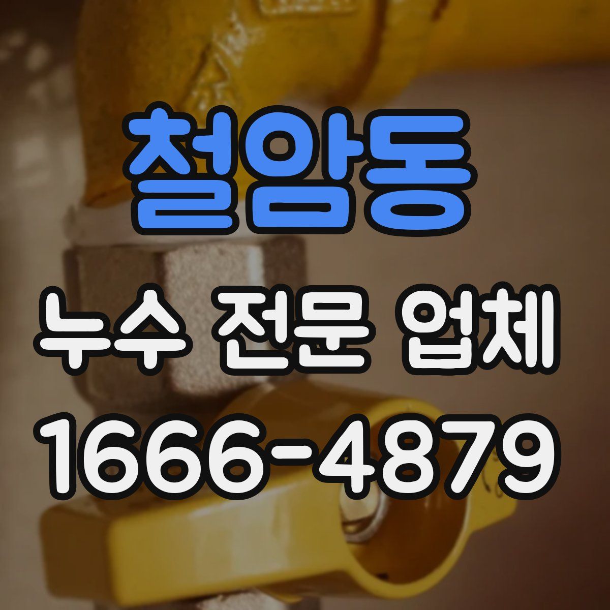 철암동 누수 전문 업체