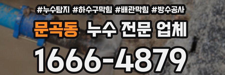문곡동 누수 전문 업체
