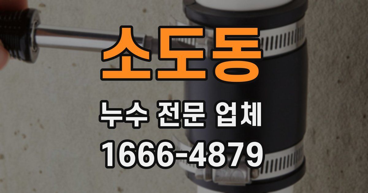 소도동 누수 전문 업체