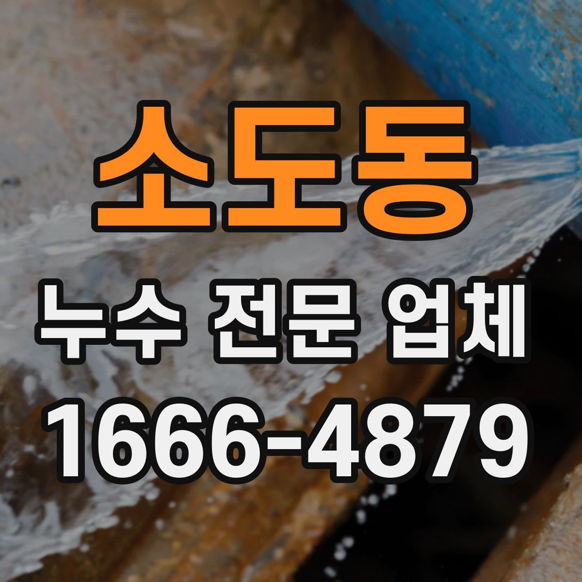 소도동 누수 전문 업체