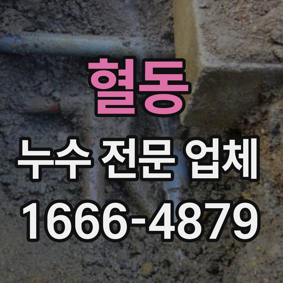 혈동 누수 전문 업체