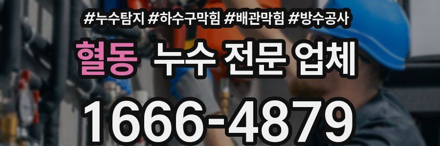 혈동 누수 전문 업체