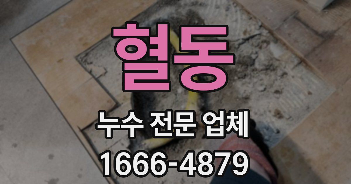 혈동 누수 전문 업체