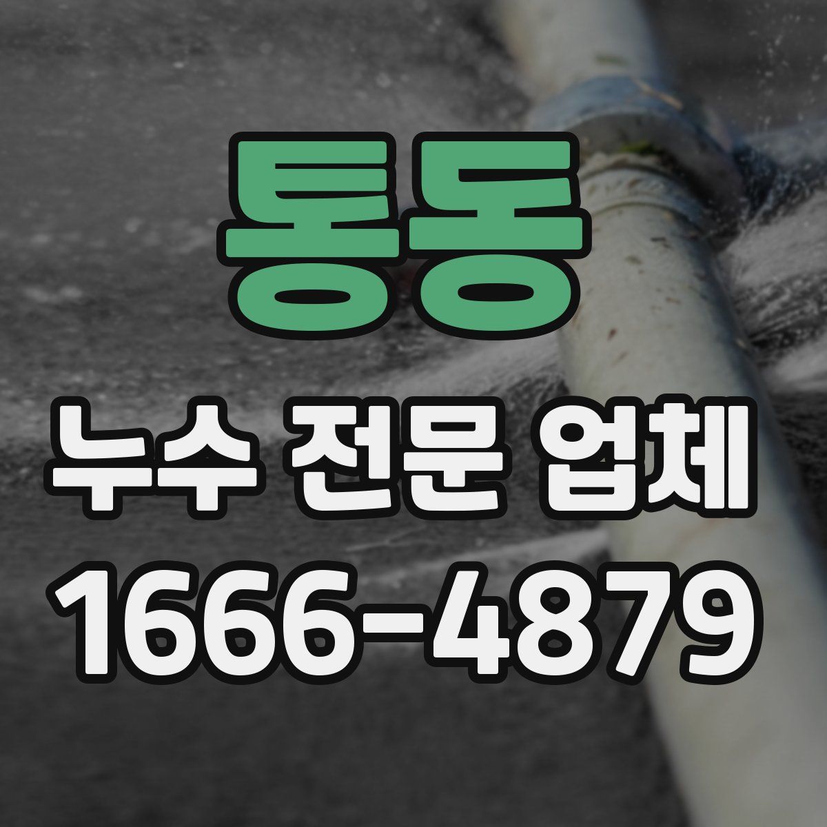 통동 누수 전문 업체