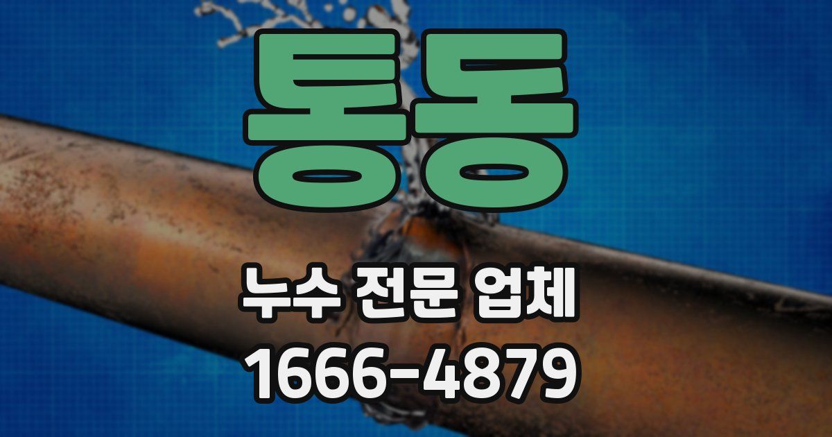 통동 누수 전문 업체