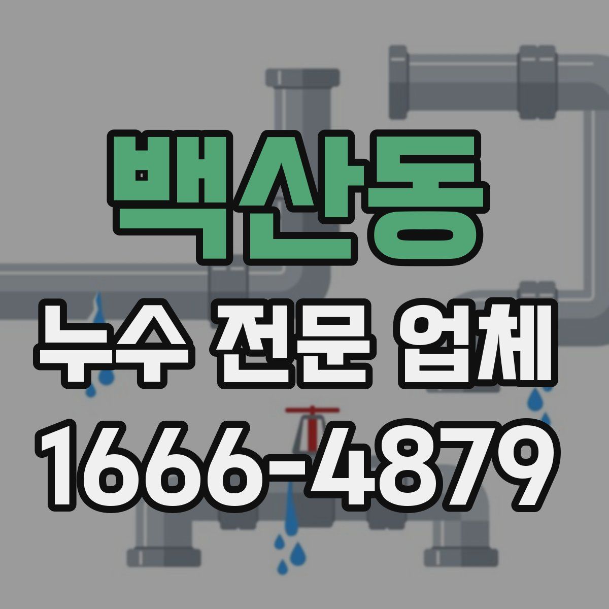 백산동 누수 전문 업체