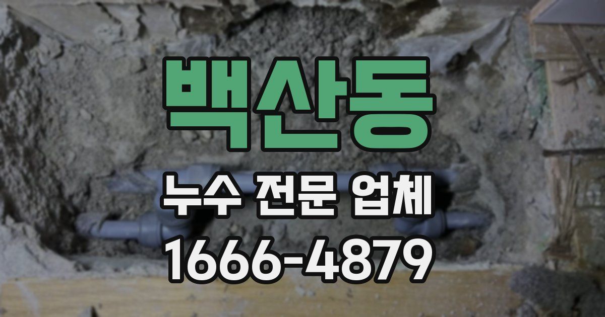 백산동 누수 전문 업체