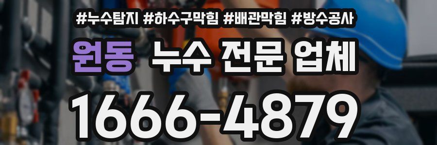 원동 누수 전문 업체