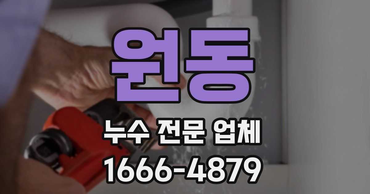 원동 누수 전문 업체