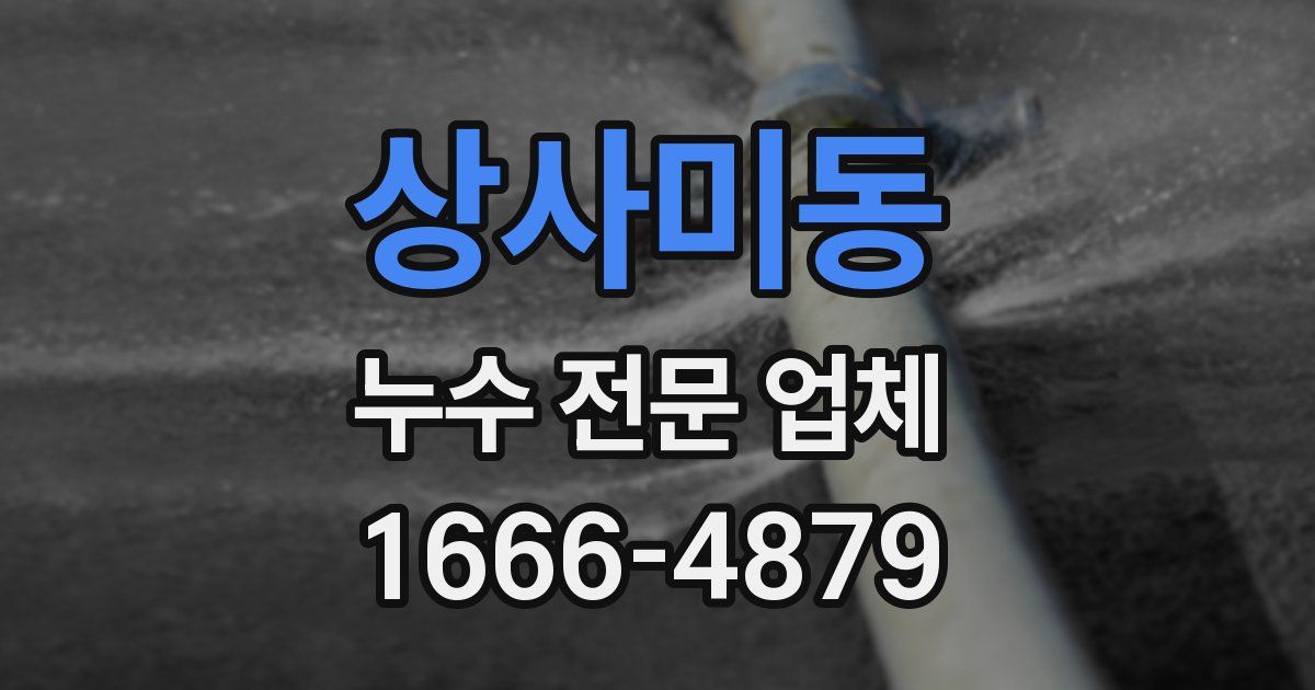 상사미동 누수 전문 업체