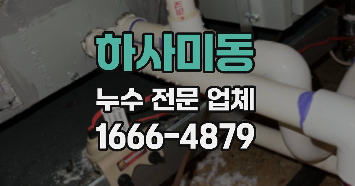 하사미동 누수 전문 업체