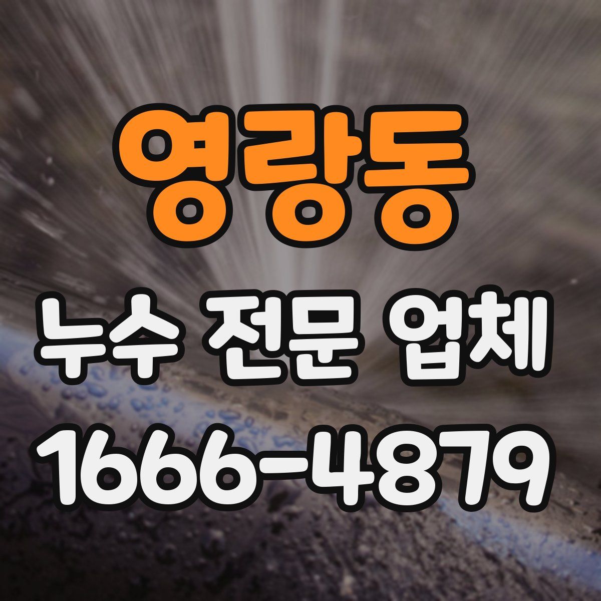 영랑동 누수 전문 업체
