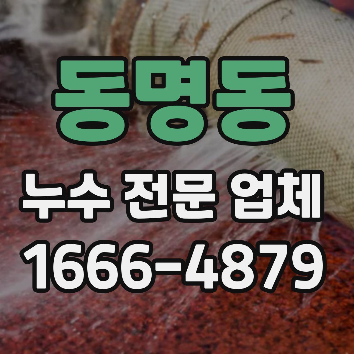 동명동 누수 전문 업체
