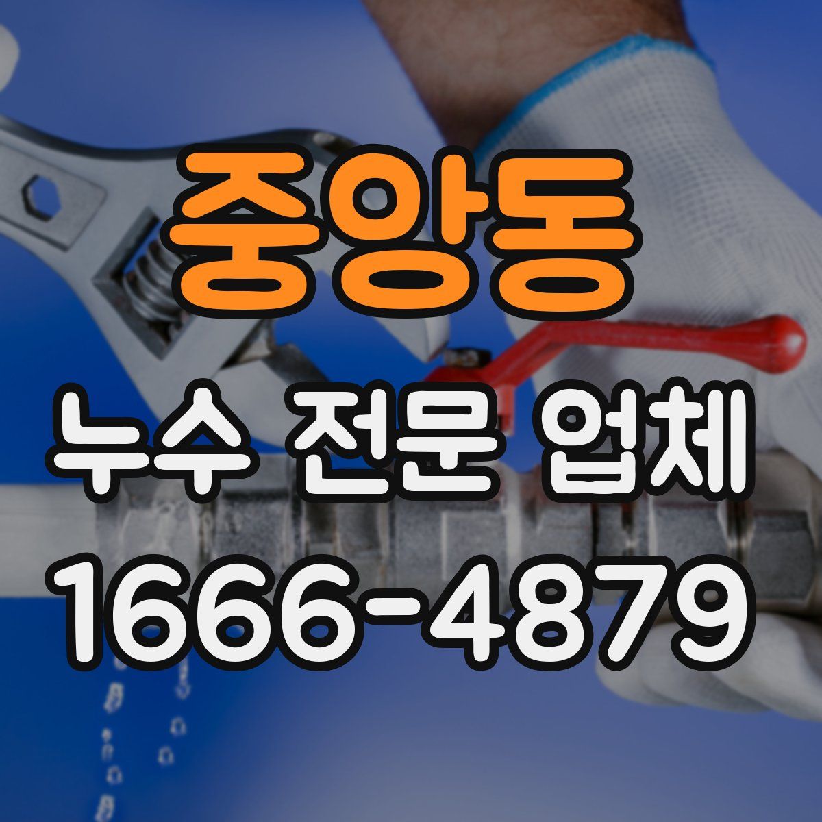 중앙동 누수 전문 업체
