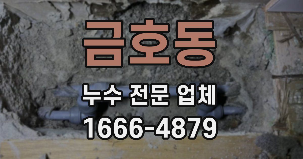 금호동 누수 전문 업체