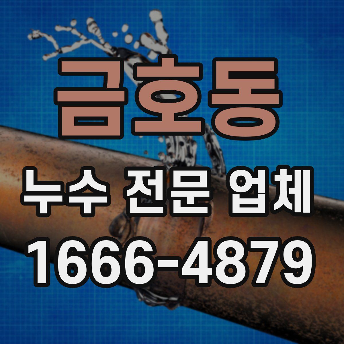 금호동 누수 전문 업체