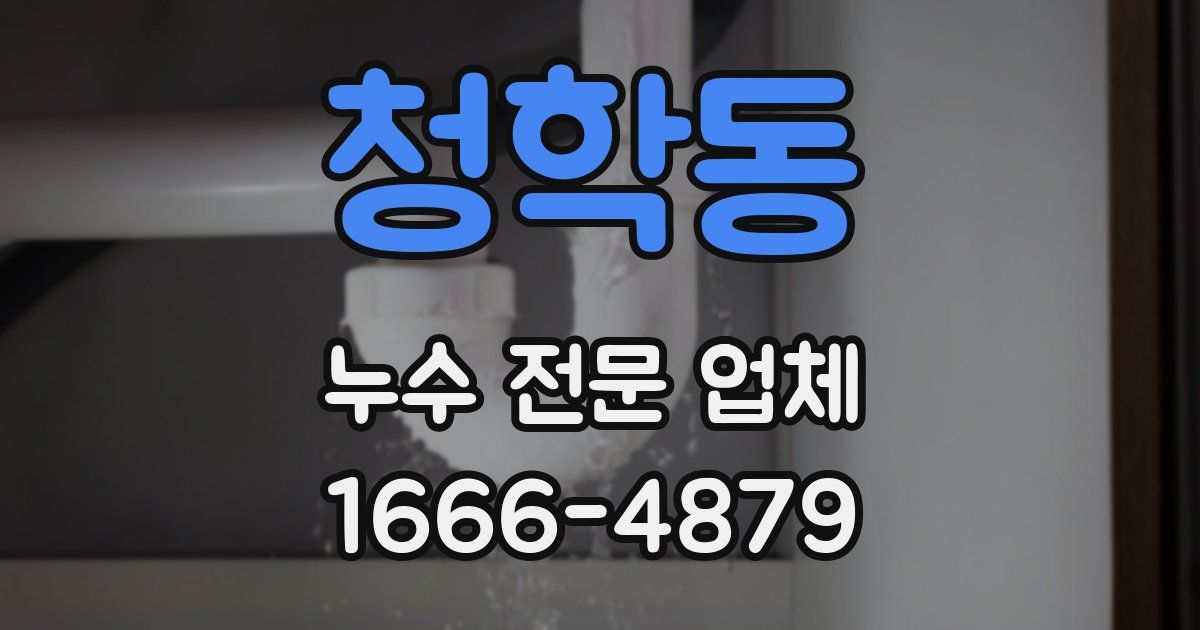 청학동 누수 전문 업체
