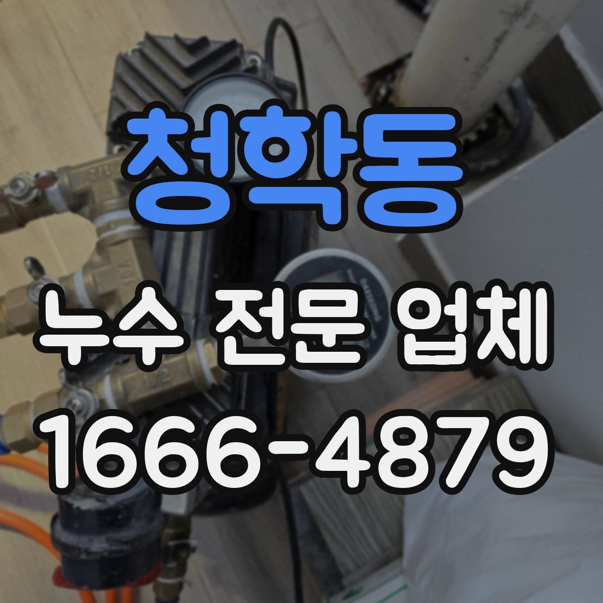 청학동 누수 전문 업체