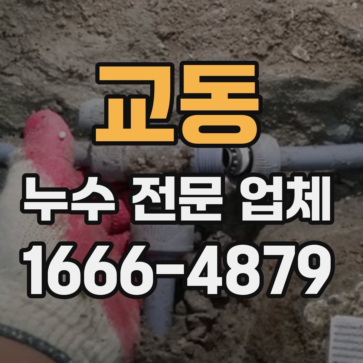 교동 누수 전문 업체