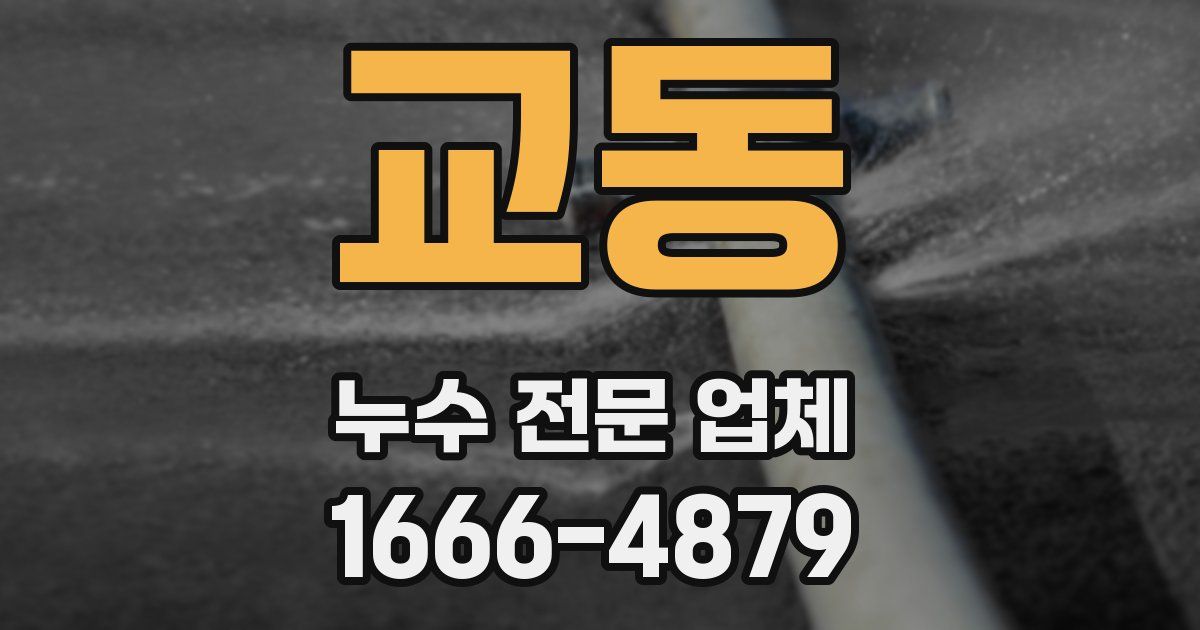 교동 누수 전문 업체